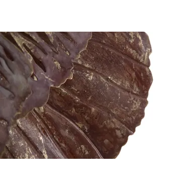 PANEL ŻELAZNY BUNGA 73,5X11X72 cm